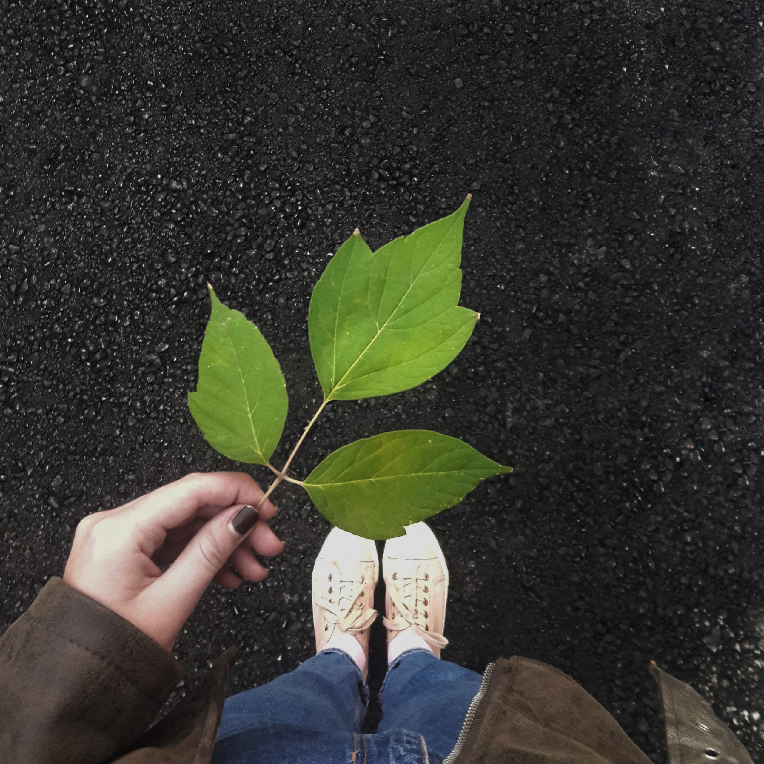 Nachwachsende Rohstoffe 